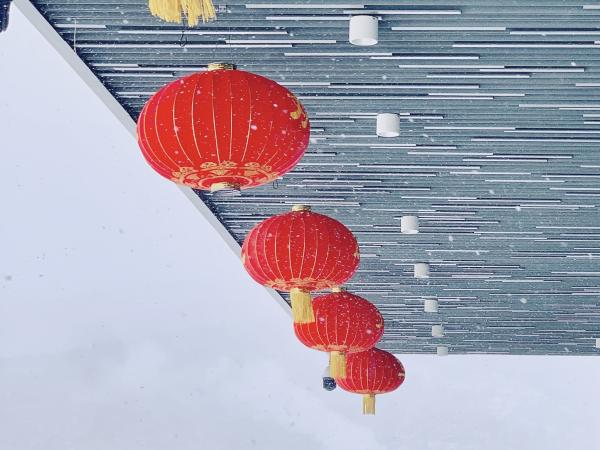 IMG_4868.jpeg