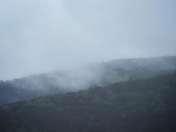 IMG_8316.jpeg